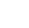 Logo Icon